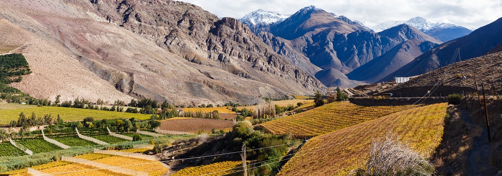 Paisaje o destino del programa La Serena, Coquimbo y Valle del Elqui